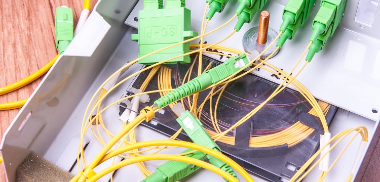 復(fù)旦大學(xué)公共衛(wèi)生報(bào)考指南?公共衛(wèi)生服務(wù)車配置參數(shù)|公共衛(wèi)生服務(wù)車價(jià)位價(jià)格大全 健明迪檢測(cè)