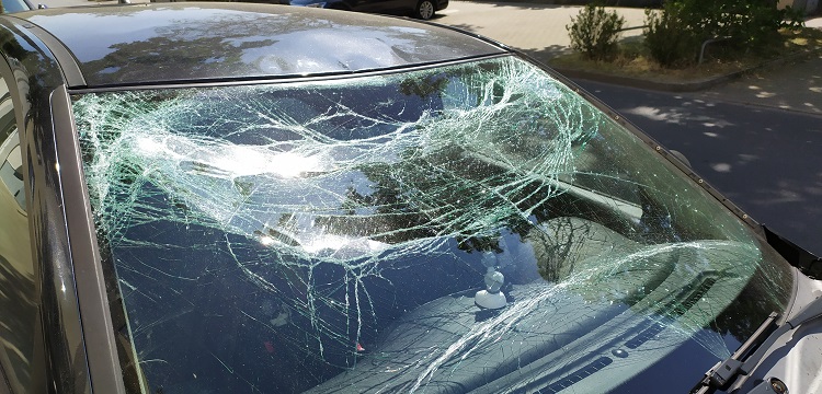 海洋環(huán)境監(jiān)測(cè)：赤潮應(yīng)急監(jiān)測(cè)與專題監(jiān)測(cè)