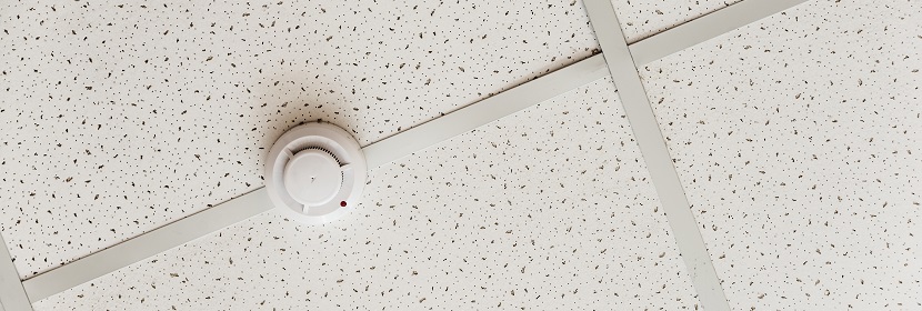 嬰兒配方食品檢測