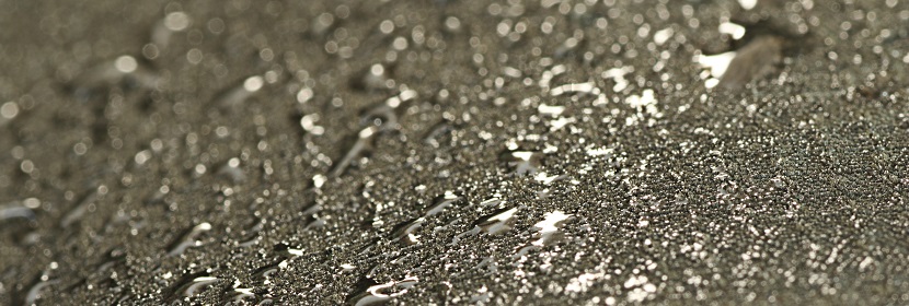 福建省成功研制國內(nèi)首套工業(yè)級電子束冷鏈病毒消殺裝備，這一技術(shù)的突破將對冷鏈消殺帶來哪些改變 ?為什么FDA要求消毒效果驗證，中、低等級消毒驗證要分別驗證5種、4種細菌 