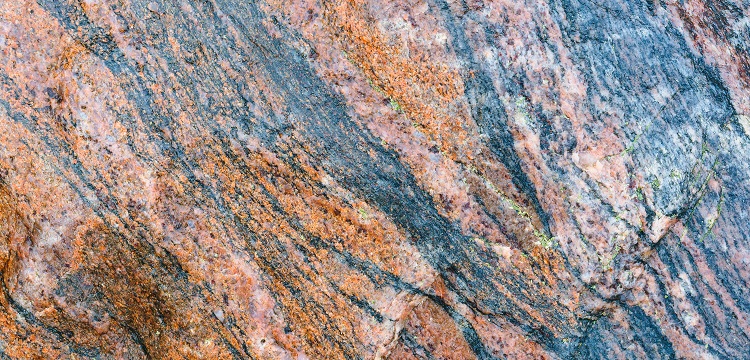 2022年廣東省最新林業(yè)碳匯申報要求匯總：方法學、申報模板、材料清單