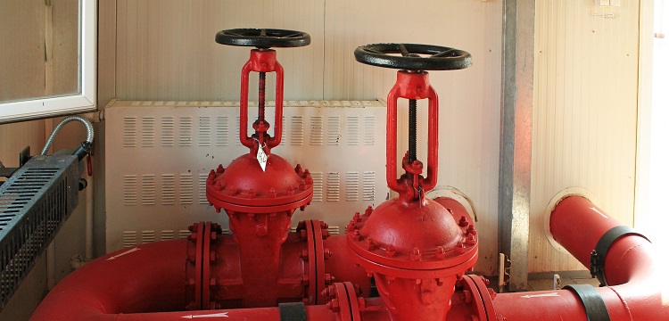 微生物安全健康網，微生物檢測如何規范操作 ?在微生物檢測實踐中，什么時候需要檢測參考菌群 參考菌群的檢測有何意義 ?健明迪