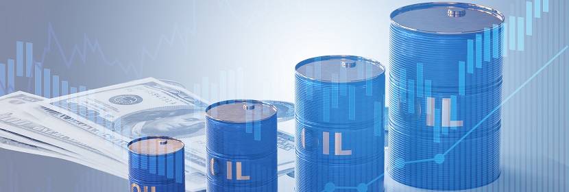 車用汽油檢測(cè)