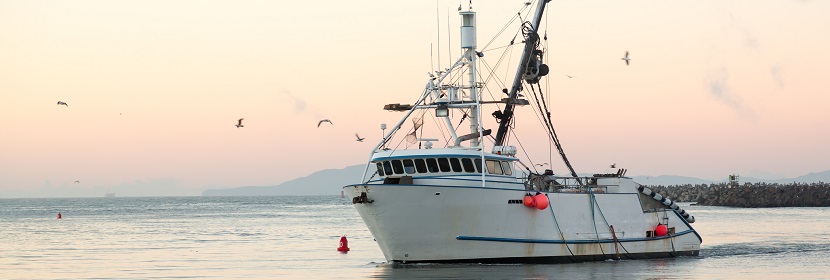 船舶設備碰撞試驗