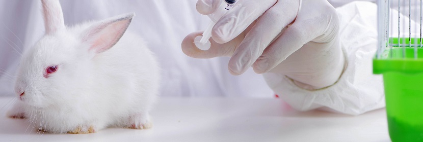 溫升測試試驗(yàn)