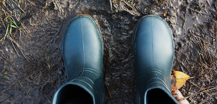 金屬硫蛋白含量測(cè)定