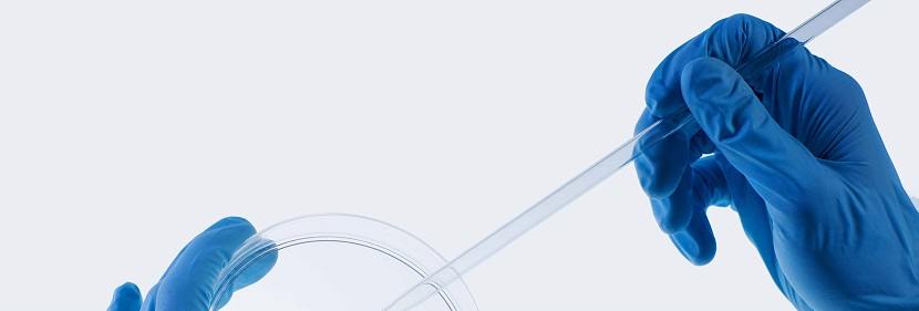 孢子萌發(fā)試驗