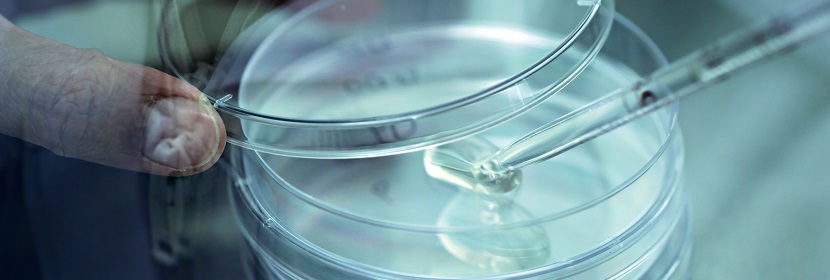 工業用二乙烯苯檢測