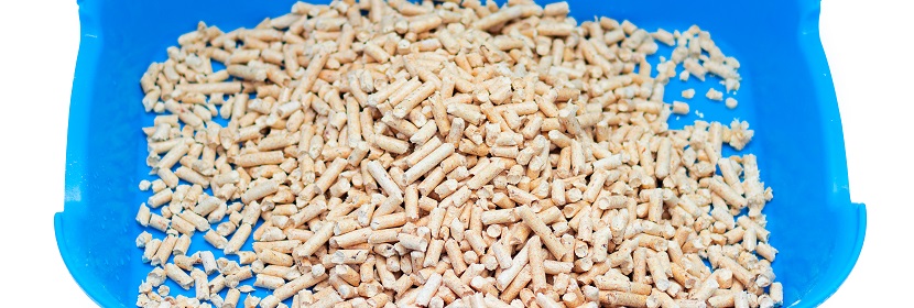 顆粒白土檢測(cè)